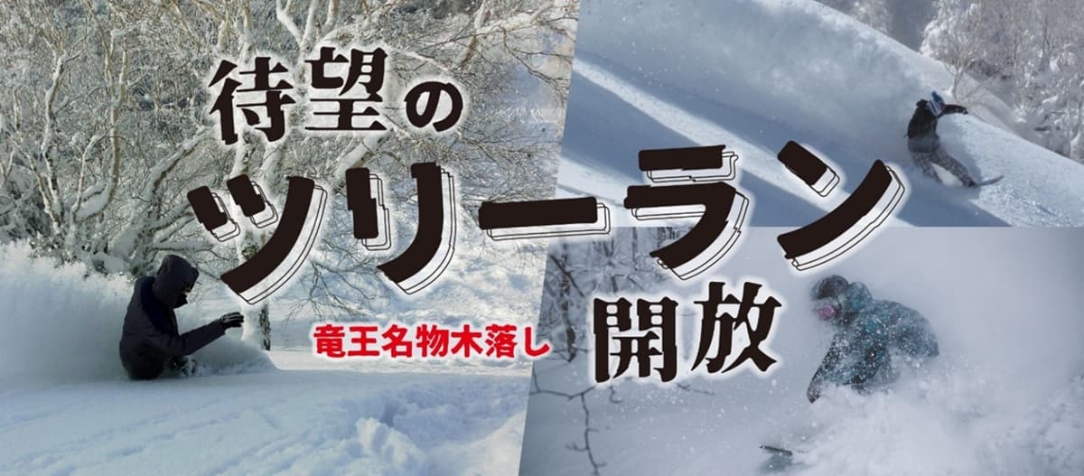長野県 竜王スキーパークにツリーランエリアが誕生!最大斜度36度、最長1,400mの非圧雪で、名物「木落し」や山頂コース内のツリーランを25-26シーズンより開放!