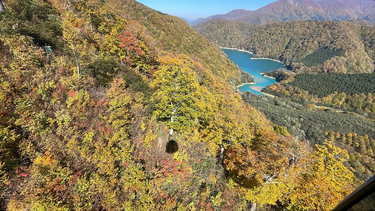 新潟・苗場スキー場・かぐらスキー場、苗場ドラゴンドラ・田代ロープウェー山全体の紅葉が見頃ピークに!2つの日本一を紅葉と楽しむ!