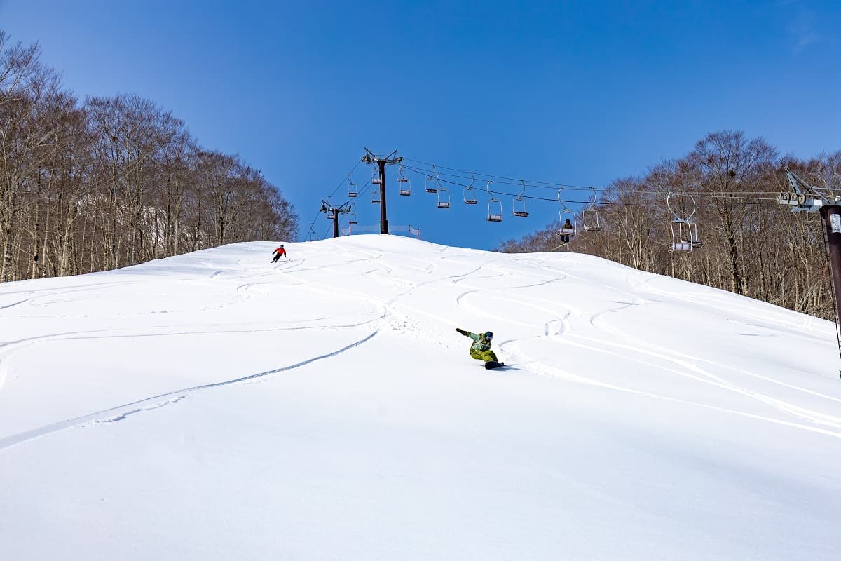 福島・星野リゾート ネコマ マウンテン(旧アルツ磐梯&猫魔スキー場)、山頂積雪は約250cm!5月6日まで営業が確実