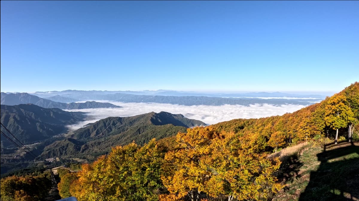 新潟県・八海山ロープウェー、山全体の紅葉が見頃ピークに!雲海とのコラボレーションも。【運行期間】2025年11月16日(日)まで