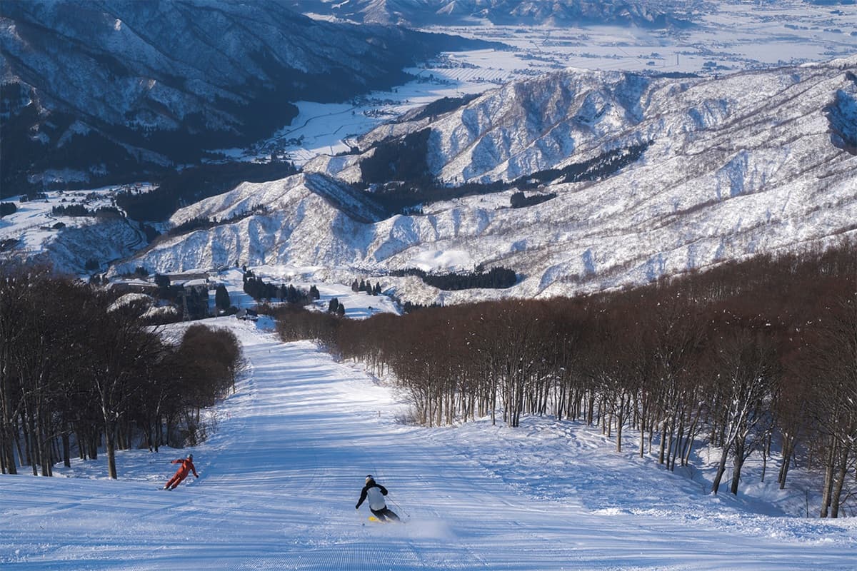 六日町八海山スキー場(新潟県)、雲の上でのプレミアムな1本を。スペシャルファーストトラックプランを販売