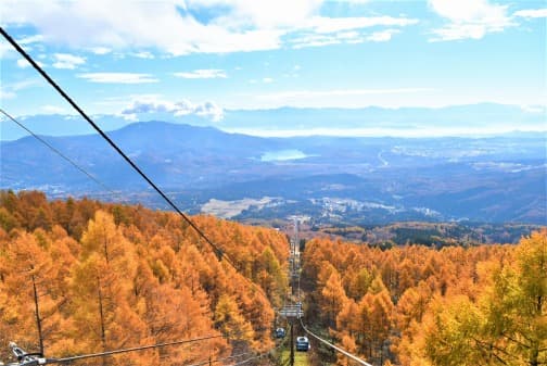 標高約1,500m「妙高杉ノ原ゴンドラ(新潟)」の紅葉営業は10月11日(土)より開始