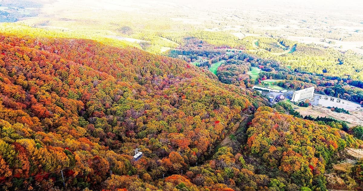 岩手・雫石プリンスホテル・スキー場、雫石紅葉ロープウェーで『秋の空中散歩&Autumn Walk』を開催。今シーズン新たに早朝運行も開始