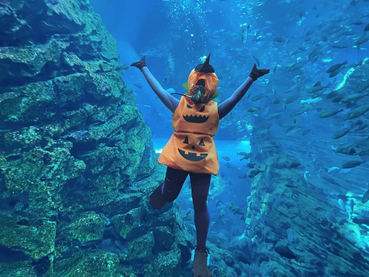 上越市立水族博物館 うみがたり(新潟県)、ハロウィンイベントを10月開催。苗場スキー場、八海山スキー場、杉ノ原スキー場の各ゴンドラ・ロープウェー、および、奥只見湖遊覧船のいずれかのチケットで割引も!