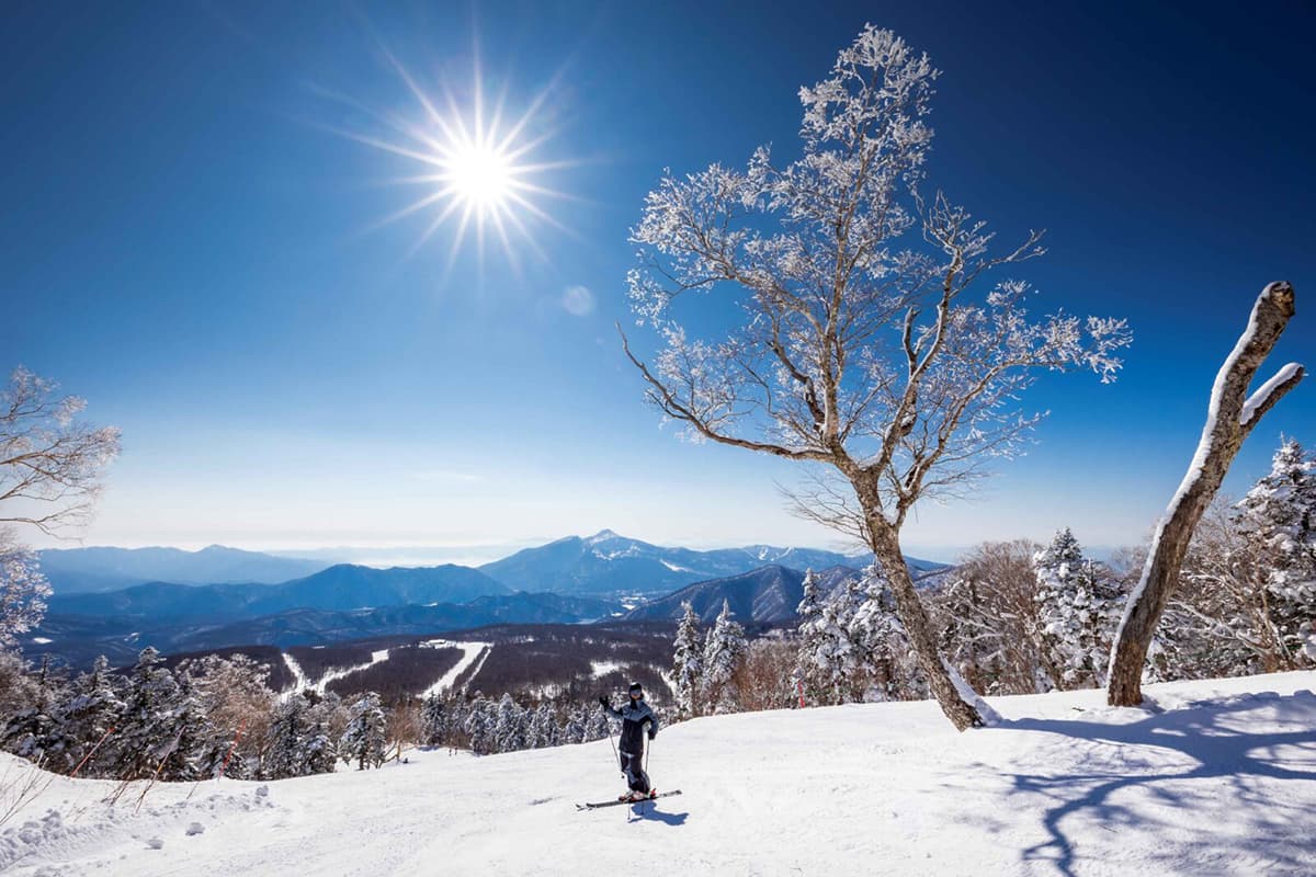 グランデコスノーリゾートのリフト1日券『県民割』でお得に滑ろう!