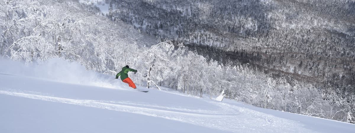 北海道・サホロリゾートスキー場、日本有数の調香師が創る香りで空間デザイン