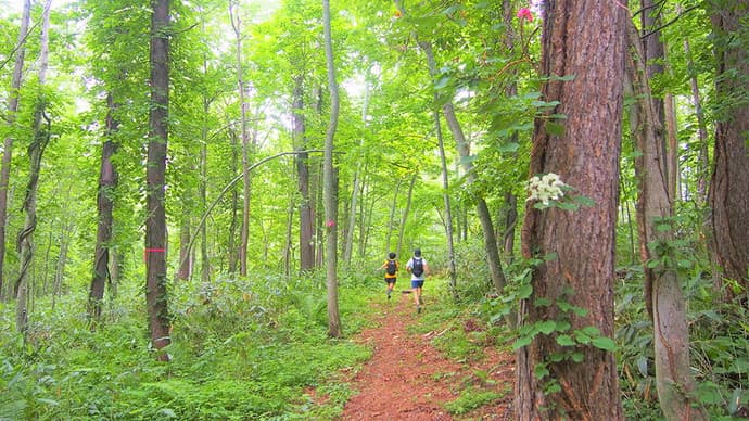 ルスツリゾートにSALOMON監修の新企画『RUSUTSU TRAIL』がOPEN