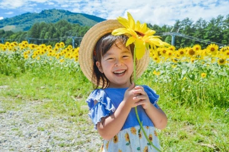 今年で18回目!8月3日(土)より、岐阜県高山市久々野町の旧スキー場「アルコピアひまわり園」が開園 - 画像2