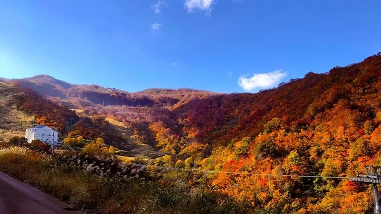 紅葉ピーク到来!ロッテアライリゾート「紅葉ゴンドラ」で体感する、秋の空中散歩!