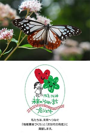 兵庫・六甲高山植物園 × 伊丹市昆虫館 夏イベント 「しょくぶつ と むし」 開催中