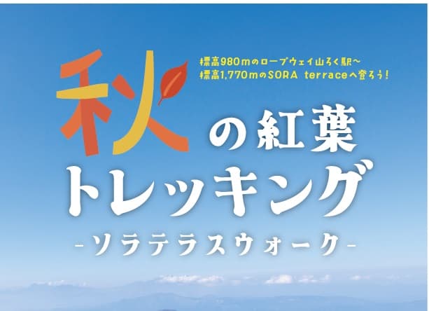 竜王マウンテンリゾート(長野県)で標高1,770mまで登る秋の紅葉トレッキング「ソラテラスウォーク」を初開催