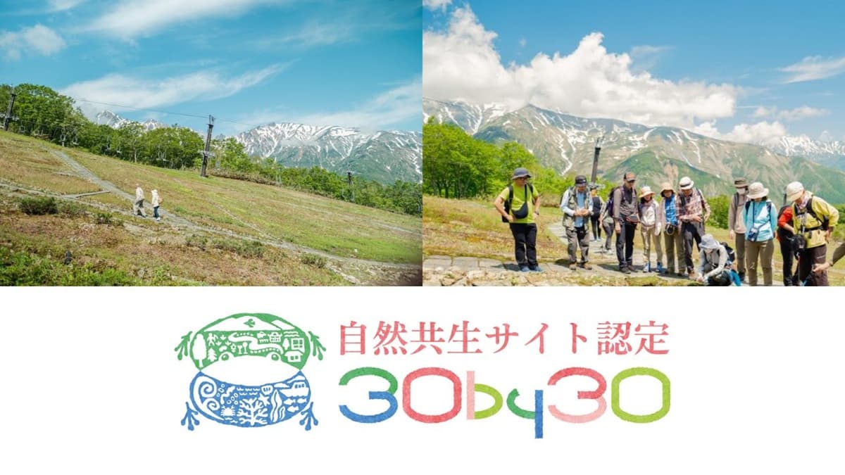 白馬五竜高山植物園が、環境省が定める「自然共生サイト」に認定